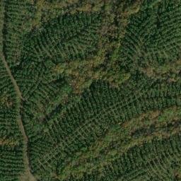 Satellite imagery of Negro Ridge, US