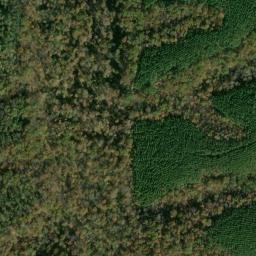 Satellite imagery of Negro Ridge, US