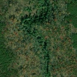 Satellite imagery of Taylor Ridge, US