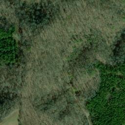 Satellite imagery of Gettys Ridge, US