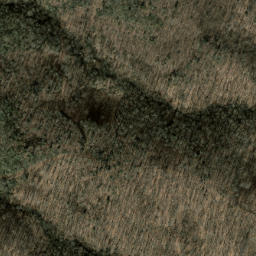 Satellite imagery of Case Camp Ridge, US