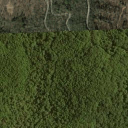 Satellite imagery of Case Camp Ridge, US