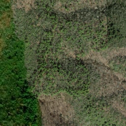 Satellite imagery of Huckleberry Ridge, US