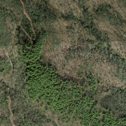 Satellite imagery of Huckleberry Ridge, US