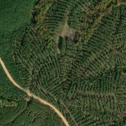 Satellite imagery of Dick Cabin Ridge, US