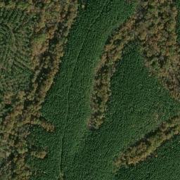 Satellite imagery of Dick Cabin Ridge, US