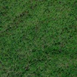 Satellite imagery of Cow Camp Lead, US
