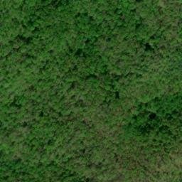Satellite imagery of Cow Camp Lead, US
