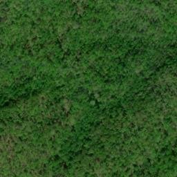 Satellite imagery of Cow Camp Lead, US