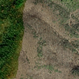 Satellite imagery of Huckleberry Ridge, US