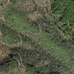 Satellite imagery of Huckleberry Ridge, US