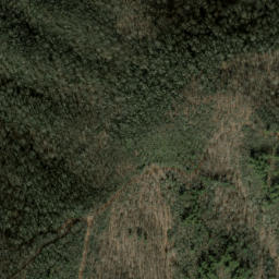 Satellite imagery of Pine Ridge, US
