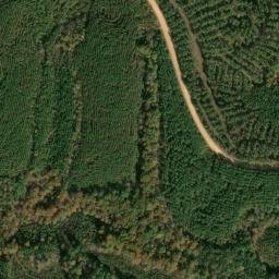 Satellite imagery of Dick Cabin Ridge, US