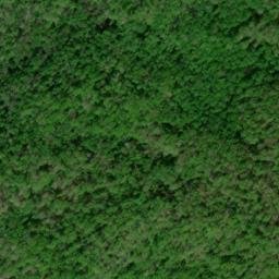 Satellite imagery of Cow Camp Lead, US