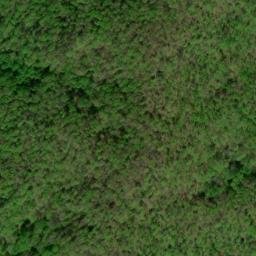 Satellite imagery of Cow Camp Lead, US