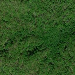 Satellite imagery of Cow Camp Lead, US