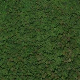 Satellite imagery of Whigg Ridge, US