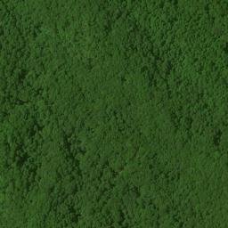 Satellite imagery of Bearpen Ridge, US