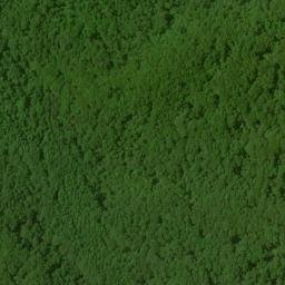 Satellite imagery of Bearpen Ridge, US