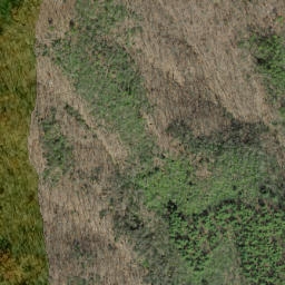 Satellite imagery of Huckleberry Ridge, US