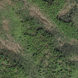 Satellite imagery of Huckleberry Ridge, US