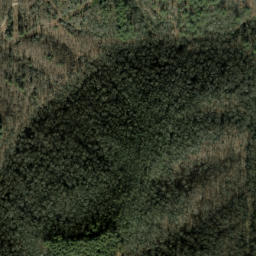 Satellite imagery of Brushy Fork Mountain, US