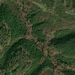 Satellite imagery of Dick Cabin Ridge, US
