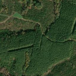 Satellite imagery of Dick Cabin Ridge, US