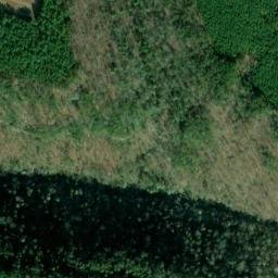 Satellite imagery of Sims Neck, US