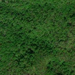 Satellite imagery of Cow Camp Lead, US