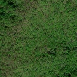 Satellite imagery of Cow Camp Lead, US