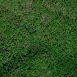 Satellite imagery of Cow Camp Lead, US