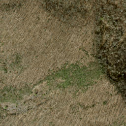 Satellite imagery of Fork Ridge, US