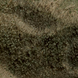 Satellite imagery of Fork Ridge, US