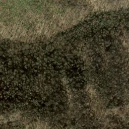 Satellite imagery of Fork Ridge, US