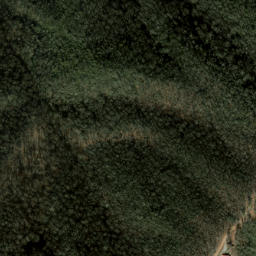 Satellite imagery of Brushy Fork Mountain, US