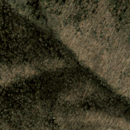 Satellite imagery of Shuck Ridge, US