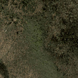 Satellite imagery of Daniel Ridge, US