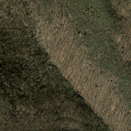 Satellite imagery of Daniel Ridge, US