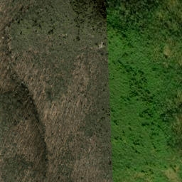 Satellite imagery of Daniel Ridge, US