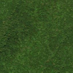 Satellite imagery of Whigg Ridge, US