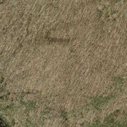 Satellite imagery of Fork Ridge, US