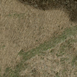Satellite imagery of Fork Ridge, US