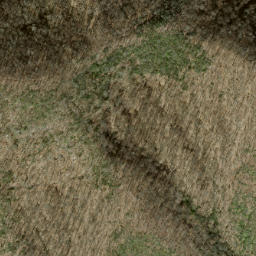 Satellite imagery of Fork Ridge, US