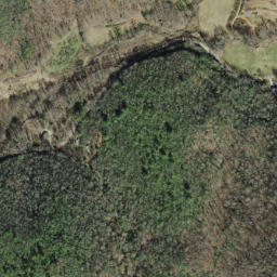 Satellite imagery of Panther Ridge, US