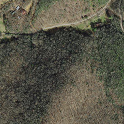 Satellite imagery of Panther Ridge, US