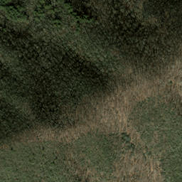 Satellite imagery of Brushy Fork Mountain, US