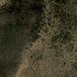 Satellite imagery of Shuck Ridge, US