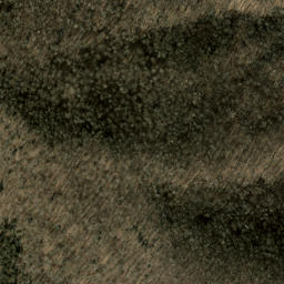 Satellite imagery of Shuck Ridge, US