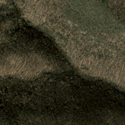 Satellite imagery of Daniel Ridge, US